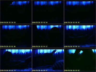 480P 2000K 116983101
